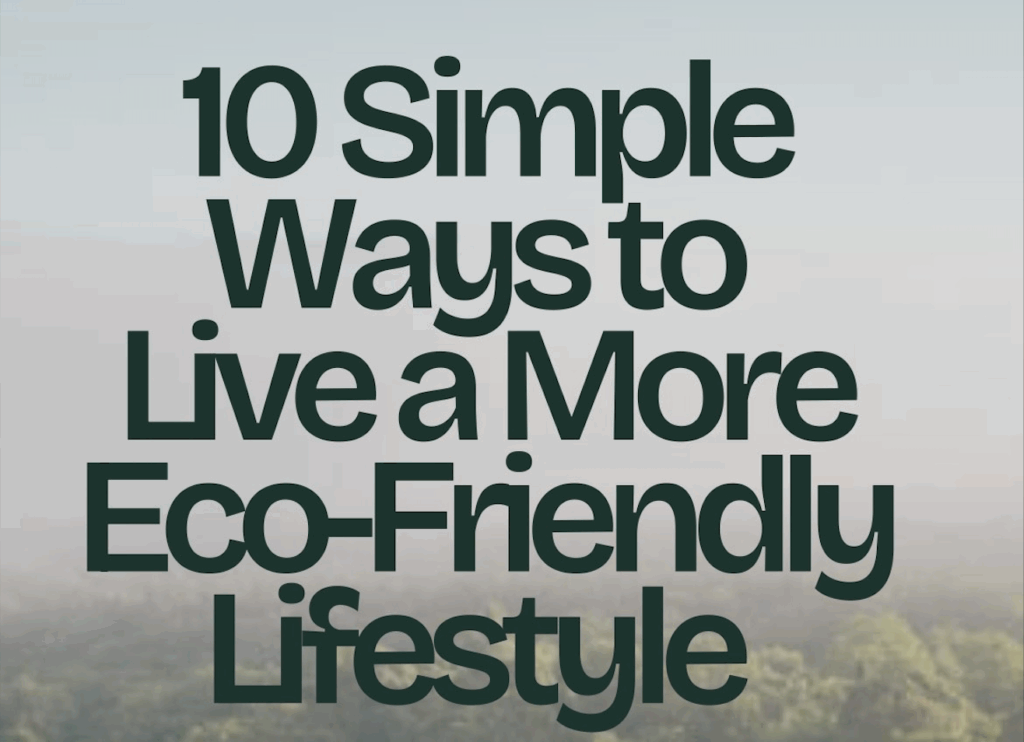 10 wimple ways to live a more eco-friendly lifestyle